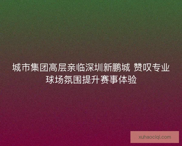 城市集团高层亲临深圳新鹏城 赞叹专业球场氛围提升赛事体验 城市集团高层亲临深圳新鹏城 赞叹专业球场氛围提升赛事体验