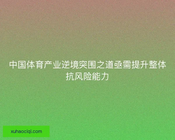 中国体育产业逆境突围之道亟需提升整体抗风险能力